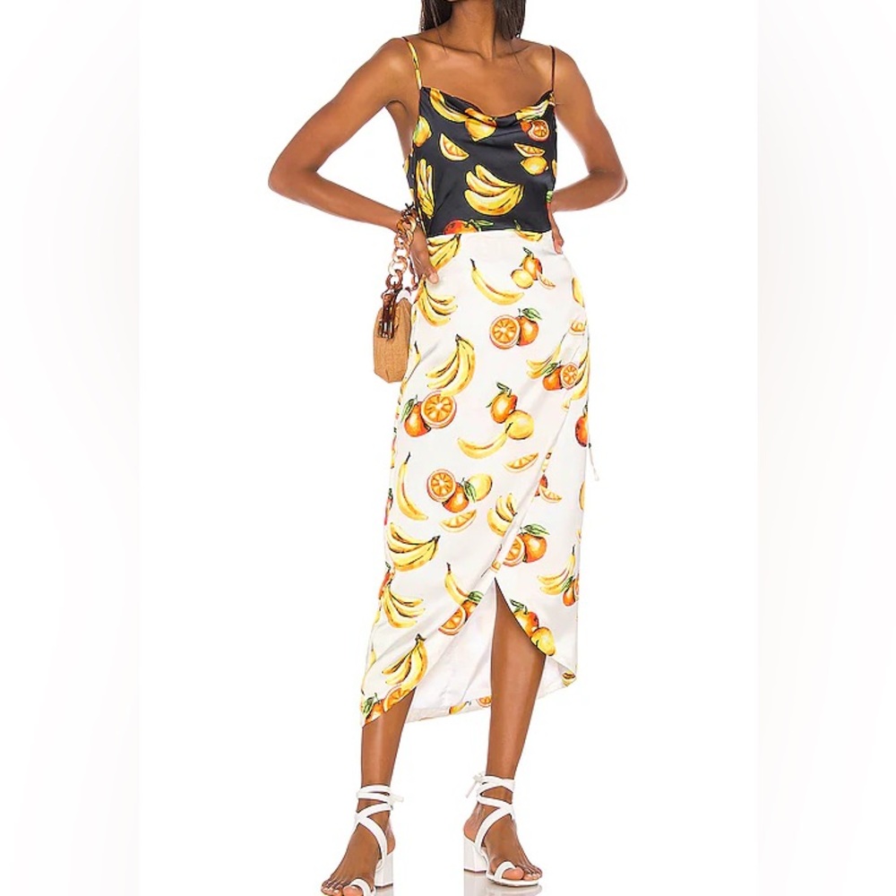 Song of Style Cleo Midi Dress in Fruit Multi